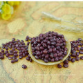 azuki bean small red bean 2016 crop high quality hot sale